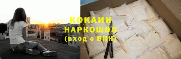 гидра Абаза