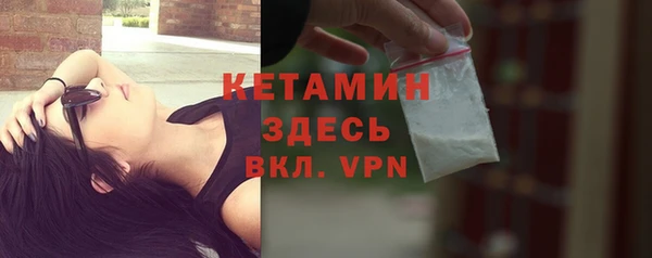 гидра Абаза