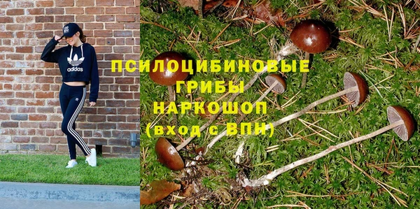 гидра Абаза