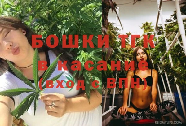 гидра Абаза
