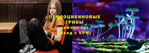 гидра Абаза