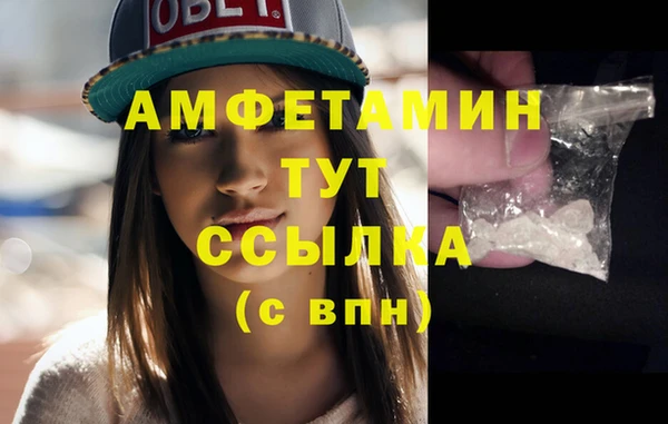 гидра Абаза