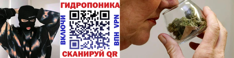 Каннабис OG Kush  Ядрин 